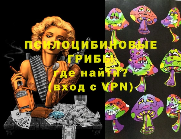 spice Ладушкин