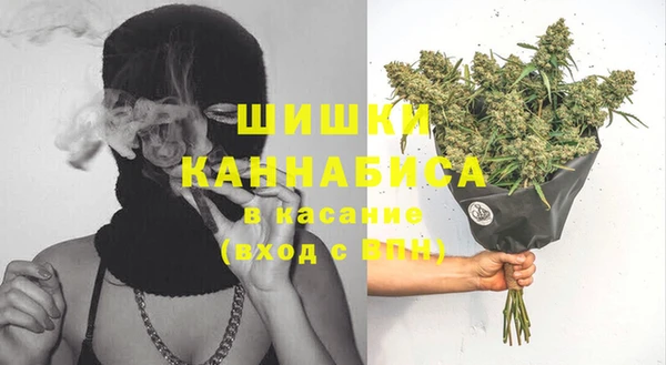 spice Ладушкин