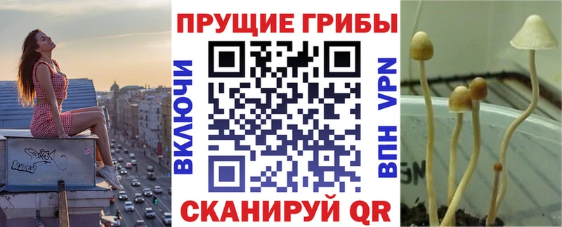 Псилоцибиновые грибы MAGIC MUSHROOMS Мелеуз