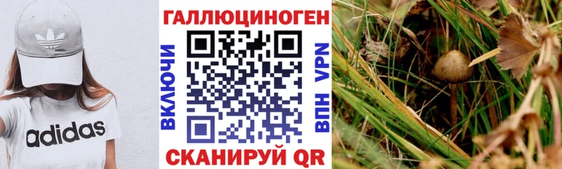 blacksprut зеркало  Мелеуз  Галлюциногенные грибы Magic Shrooms 